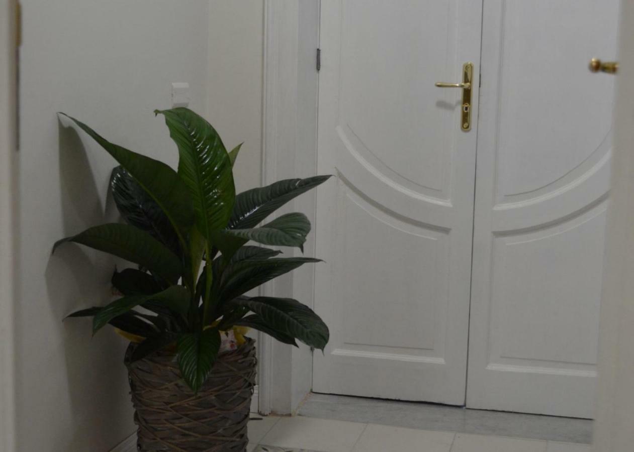 B&B Domus Palmi Εξωτερικό φωτογραφία