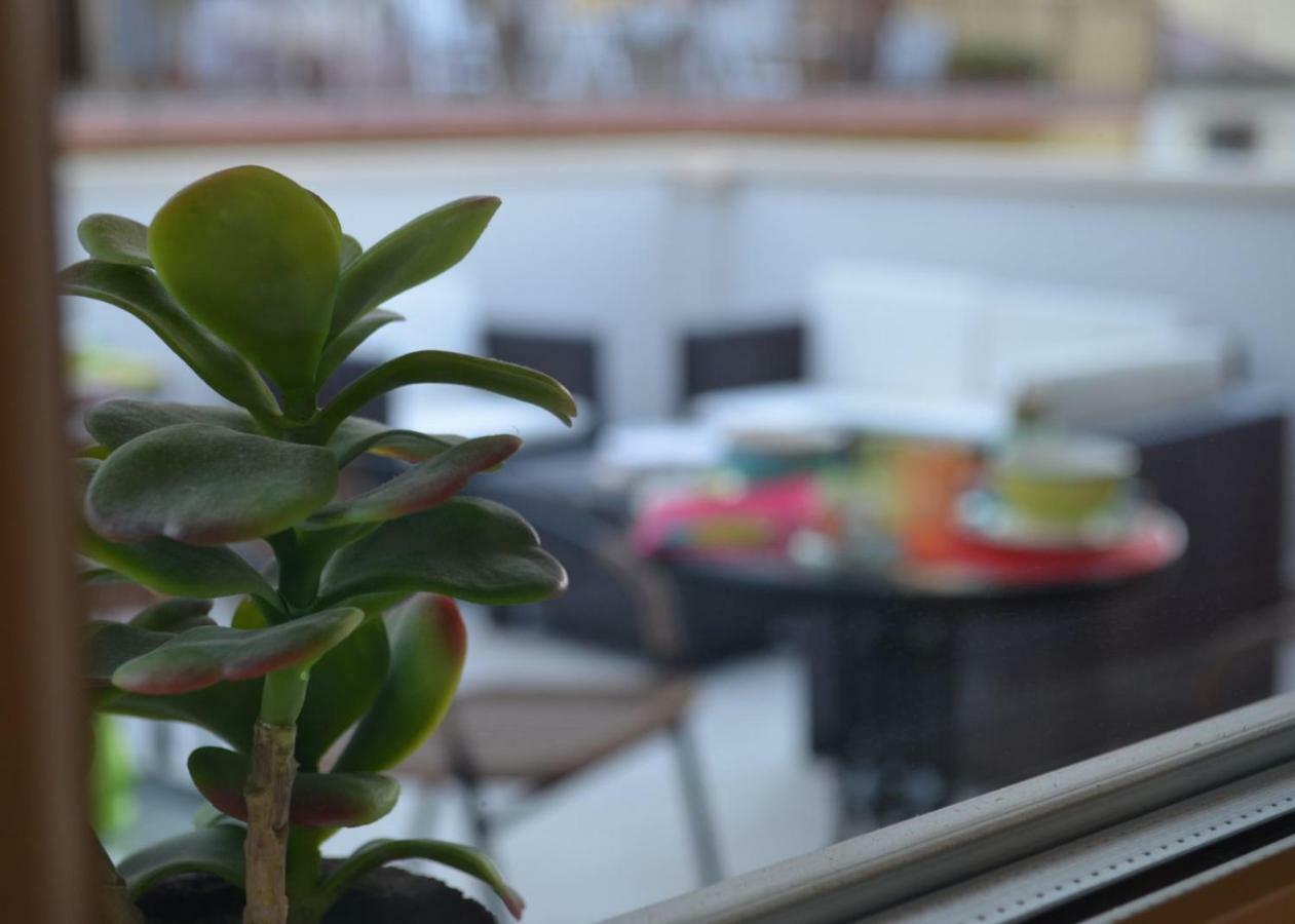 B&B Domus Palmi Εξωτερικό φωτογραφία